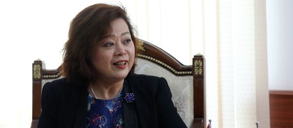 Новый посол Китая в Кыргызстане Ду Дэвэнь  - Sputnik Кыргызстан