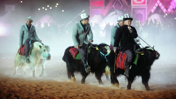 Кыргызстанцы на яках на этнофестивале Camel Fest в Саудовской Аравии - Sputnik Кыргызстан