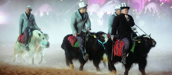 Фестиваль Camel Fest в Саудовской Аравии - Sputnik Кыргызстан