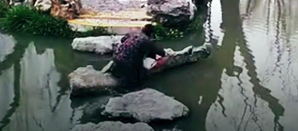 Бабушка с внуком упали в воду, но их удалось спасти — видео из Китая - Sputnik Кыргызстан