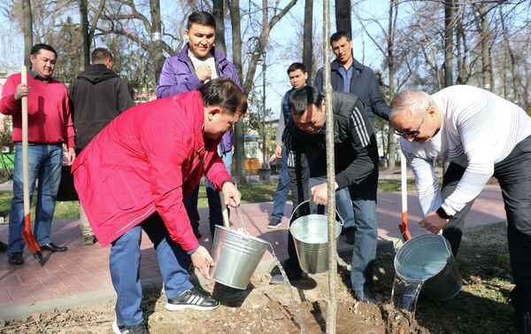 Они посадили 350 саженцев дуба, убрали опавшую листву и мусор - Sputnik Кыргызстан