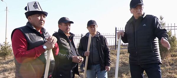 Как проходил субботник с участием президента Жээнбекова — видео - Sputnik Кыргызстан