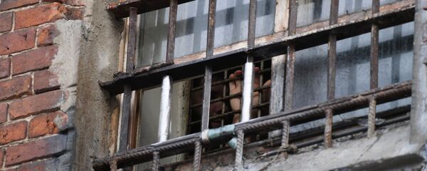 Заключенный. Архивное фото Заключенный. Архивное фото - Sputnik Кыргызстан