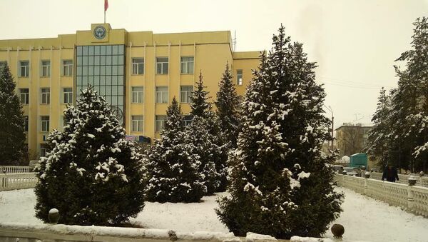 Нарын шаарынын мэриясы. Архив - Sputnik Кыргызстан