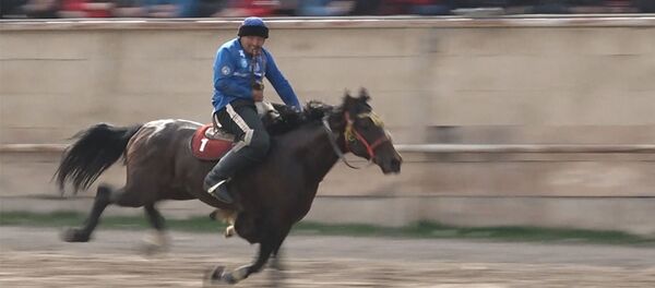 Көк бөрү: карышкан колдор, алкынган аргымактар. Достуктун Ынтымакты жеңген видеосу Көк бөрү: карышкан колдор, алкынган аргымактар. Достуктун Ынтымакты жеңген видеосу - Sputnik Кыргызстан