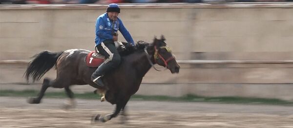 Лучшие моменты финала турнира по кок-бору в Бишкеке — видео - Sputnik Кыргызстан