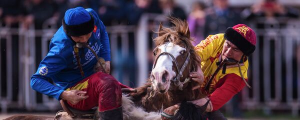 Финал турнира высшей лиги по кок-бору в Бишкеке. Достук — Ынтымак - Sputnik Кыргызстан