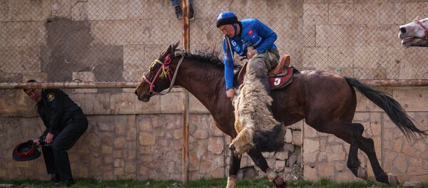 Финал турнира высшей лиги по кок-бору в Бишкеке. Достук — Ынтымак - Sputnik Кыргызстан