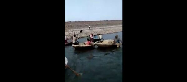 Медведь начал терзать мужчину на глазах у людей — шокирующее видео - Sputnik Кыргызстан