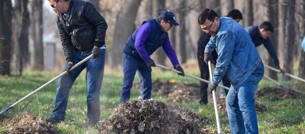 Общегородской субботник в Бишкеке  - Sputnik Кыргызстан