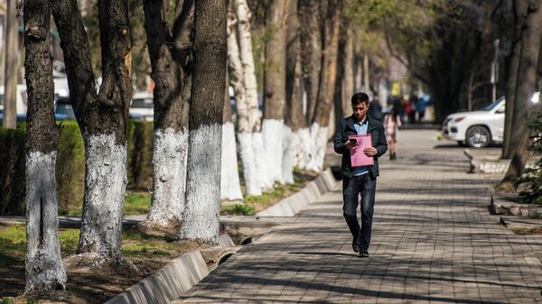 Парень с мобильным телефоном идет по одной из улиц Бишкека. Архивное фото - Sputnik Кыргызстан