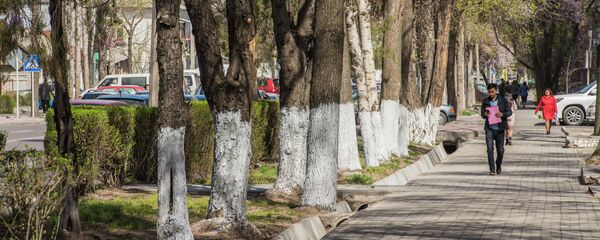 Көчөдө бараткан адамдар. Архив - Sputnik Кыргызстан