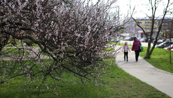 Весна в Краснодаре - Sputnik Кыргызстан