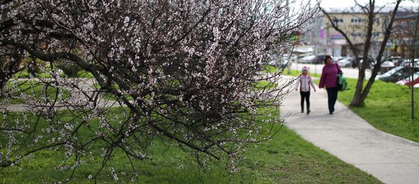 Весна в Краснодаре - Sputnik Кыргызстан