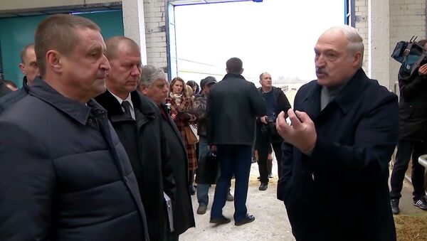 Всех под нож! Лукашенко уволил чиновников, устроив им публичный разнос. Видео - Sputnik Кыргызстан