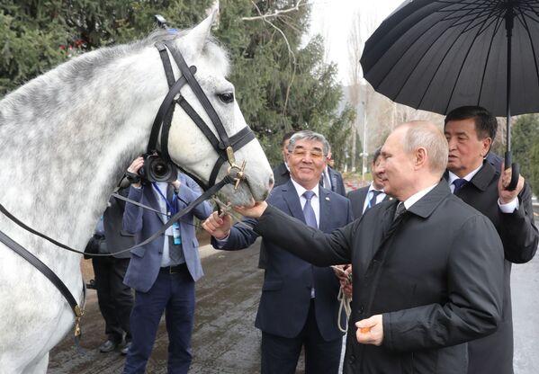 Государственный визит президента РФ В. Путина в Кыргызстан - Sputnik Кыргызстан