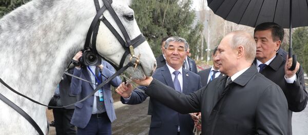 Государственный визит президента РФ В. Путина в Киргизию - Sputnik Кыргызстан