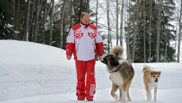 Президент России Владимир Путин с собаками Баффи и Юмэ на прогулке - Sputnik Кыргызстан