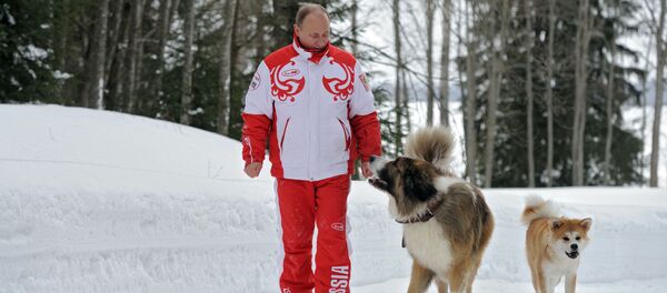 Президент России Владимир Путин с собаками Баффи и Юмэ на прогулке - Sputnik Кыргызстан