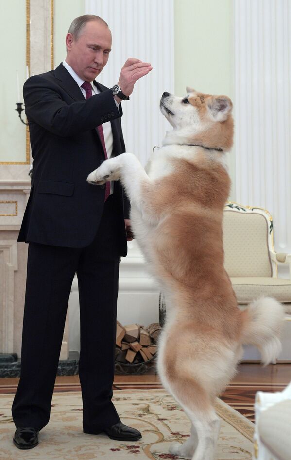 Президент России Владимир Путин с собакой Юмэ перед началом интервью в Кремле - Sputnik Кыргызстан