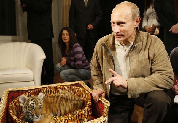 Владимир Путин познакомил журналистов с подаренным ему тигренком - Sputnik Кыргызстан