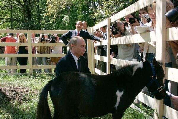 Президент России Владимир Путин с мини-лошадкой по имени Вадик, подаренной ему в Казани - Sputnik Кыргызстан