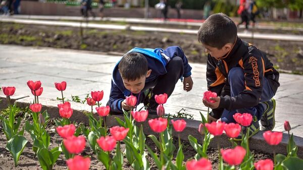 Цветение тюльпанов на клумбах Бишкека - Sputnik Кыргызстан