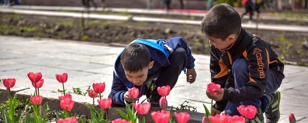 Цветение тюльпанов на клумбах Бишкека - Sputnik Кыргызстан
