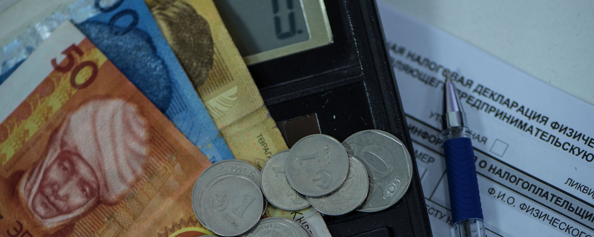 Монеты и купюры на единой налоговой декларации. Архивное фото - Sputnik Кыргызстан, 1920, 02.03.2021