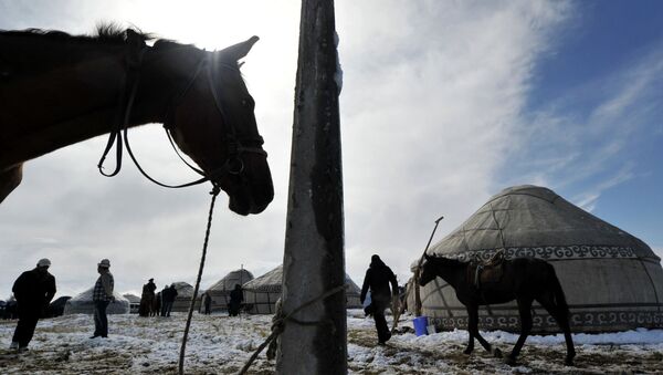 Привязанная лошадь. Архивное фото - Sputnik Кыргызстан