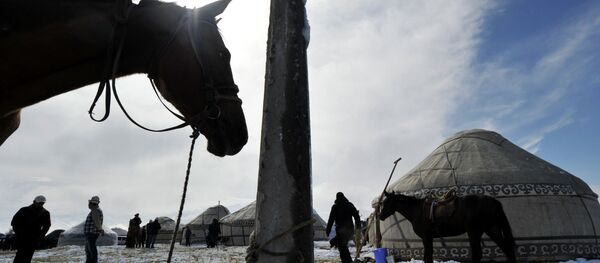 Привязанная лошадь. Архивное фото - Sputnik Кыргызстан