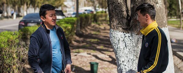 Бети-башы агала болгончо иштеди. Депутат Алимбековдун дарак актаган видеосу - Sputnik Кыргызстан