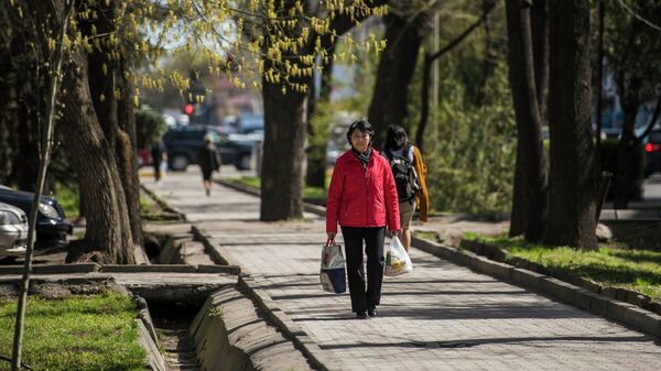 Бишкектин көчөлөрүнүн биринде сумкалары менен аял. Архив - Sputnik Кыргызстан