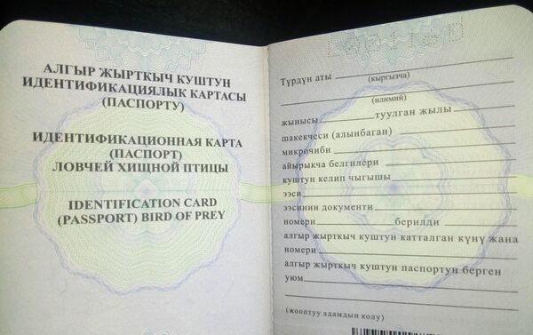 В Кыргызстане утверждены идентификационная карта (паспорт) ловчей хищной птицы, а также правила их мечения и кольцевания - Sputnik Кыргызстан