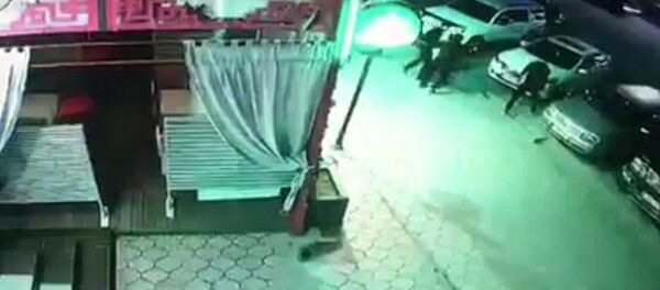 Адам уурдалды! Милицияны тамашага салгандардын окуясы айып менен аяктады. Видео - Sputnik Кыргызстан