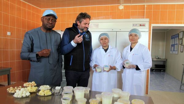 Постоянный координатор системы ООН в Кыргызстане Озонниа Ожиело ознакомился с проектами, реализуемыми Всемирной продовольственной программой в Нарынской области - Sputnik Кыргызстан