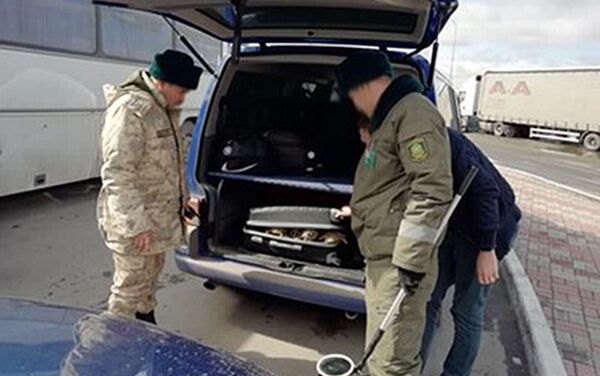 В Казахстане на погранконтроле Кайрак-авто задержали 24-летнего мужчину, который перевозил в чемодане живых черепах - Sputnik Кыргызстан