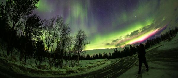 Түндүк жаркырагы. Архив - Sputnik Кыргызстан