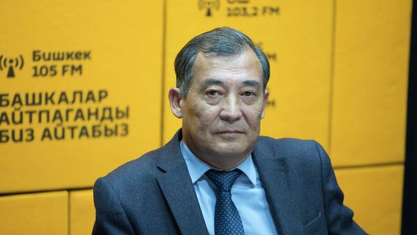 Президент Кыргызской ассоциации страховщиков Сабырбек Молдокулов - Sputnik Кыргызстан