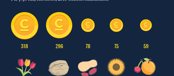 ЕАЭБде жакшы сатылган фермердик 5 азык ЕАЭБде жакшы сатылган фермердик 5 азык - Sputnik Кыргызстан