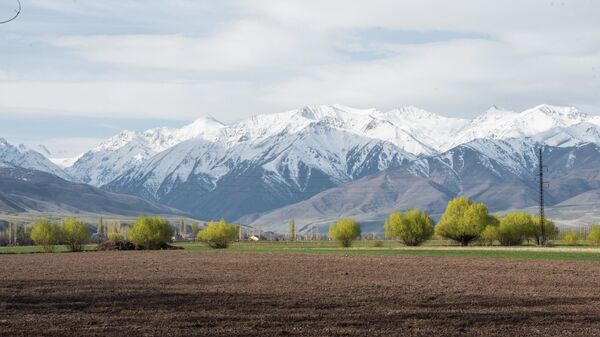 Весеннее поле. Архивное фото - Sputnik Кыргызстан