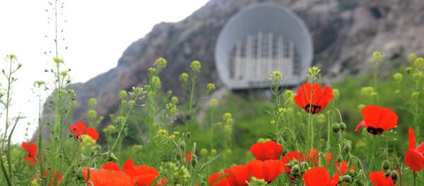 Ошто Сулайман-Тоонун этегинде миңдеген кызгалдактар гүлүн ачты Ошто Сулайман-Тоонун этегинде миңдеген кызгалдактар гүлүн ачты - Sputnik Кыргызстан