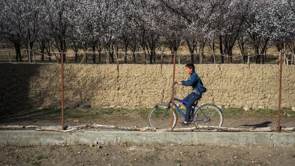 Мальчик катается на велосипеде в одном из сел Баткенской области. Архивное фото - Sputnik Кыргызстан