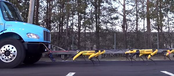Boston Dynamics робот иттерге машина сүйрөгөндү үйрөттү. Видео - Sputnik Кыргызстан
