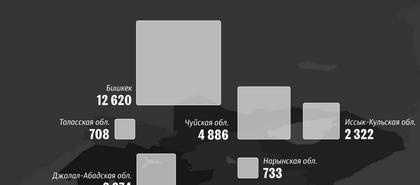 Самые криминальные места в Кыргызстане - Sputnik Кыргызстан