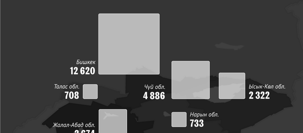 Кыргызстандагы эң кылмыштуу жерлер - Sputnik Кыргызстан