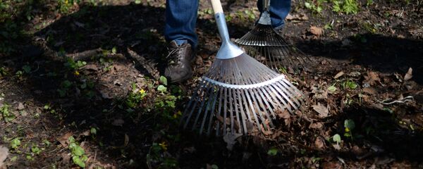 Всероссийский экологический субботник - Sputnik Кыргызстан