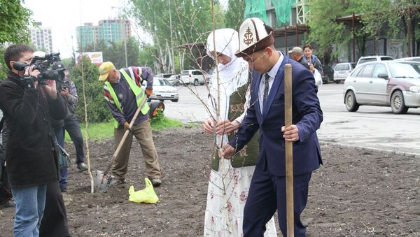 Посадка 30 берёз в Бишкеке молодоженами - Sputnik Кыргызстан