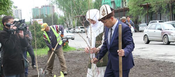 Посадка 30 берёз в Бишкеке молодоженами - Sputnik Кыргызстан