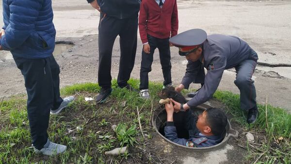 В Караколе милиционеры вытащили из люка упавшего туда щенка - Sputnik Кыргызстан